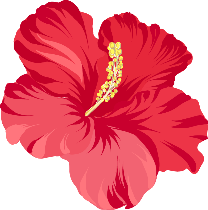 Vinylový koberec s kvetmi červeného hibiscu - Tenstickers