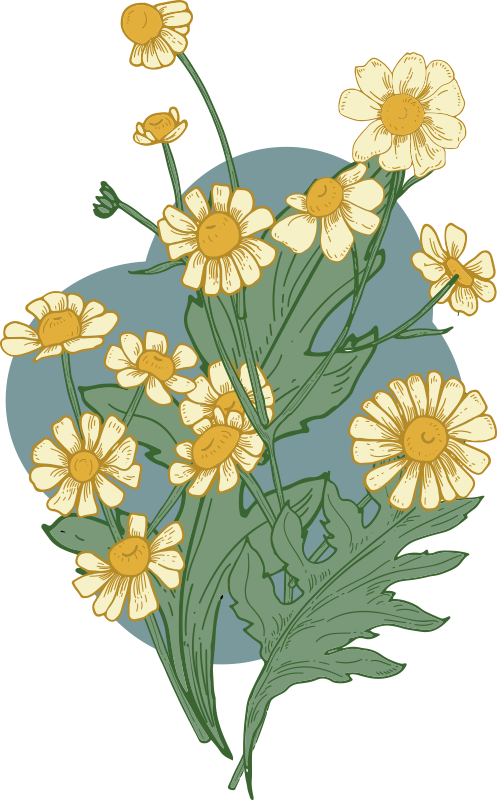 Vinylový koberec s kvetmi Živá kvetinová kompozícia - Tenstickers