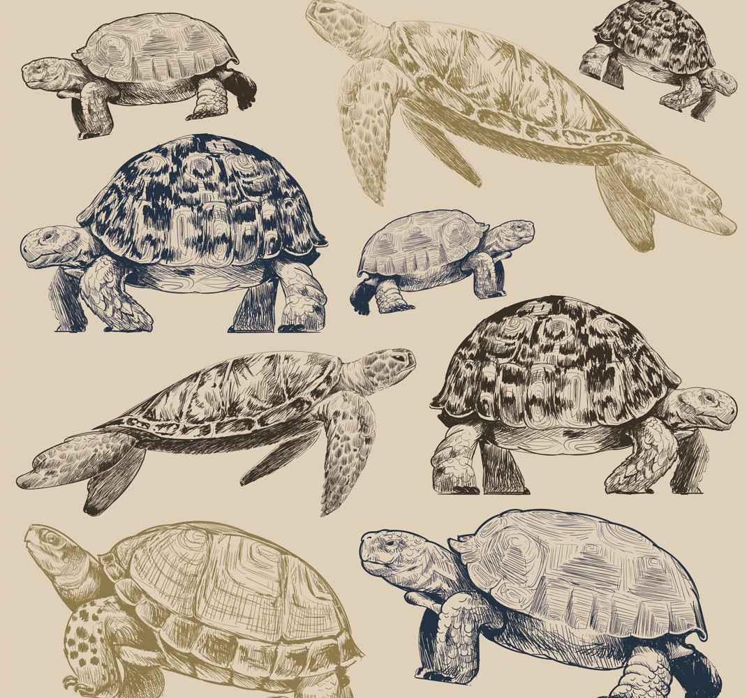 Vinylový koberec do spálne s béžovým pozadím korytnačiek - Tenstickers