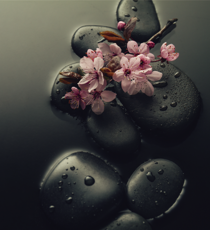 Prírodný vinylový koberec zen atmosféra s kameňom do toalety - Tenstickers