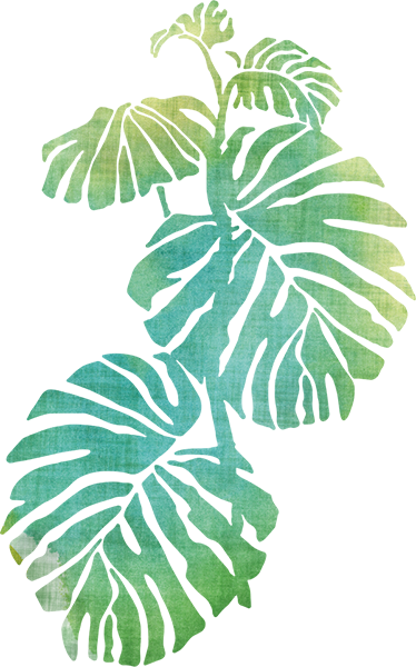 Vinylový koberec s kvetmi monstera deliciosa - Tenstickers