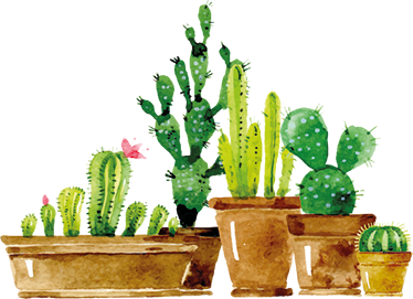 Vinylový koberec s kvetmi z domácej kaktusovej záhrady - Tenstickers