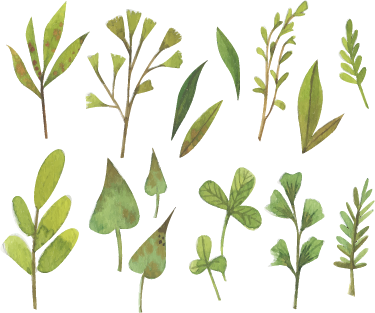 Vinylový koberec s kvetmi aquarella malé listy - Tenstickers