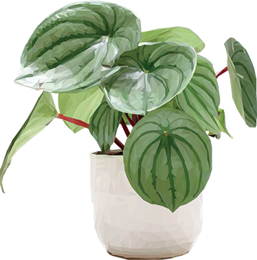 Vinylový koberec s kvetmi jednoduchá domáca rastlina - Tenstickers