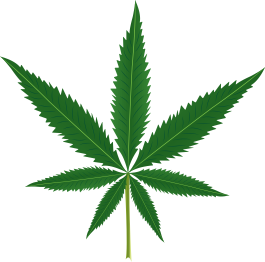 Vinylový koberec s kvetmi listy marihuany - Tenstickers