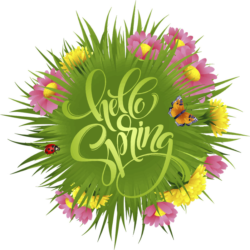 Vinylový koberec s kvetmi jarných lúčnych kvetov - Tenstickers