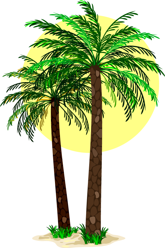 Vinylový koberec s kvetmi tropické palmy - Tenstickers