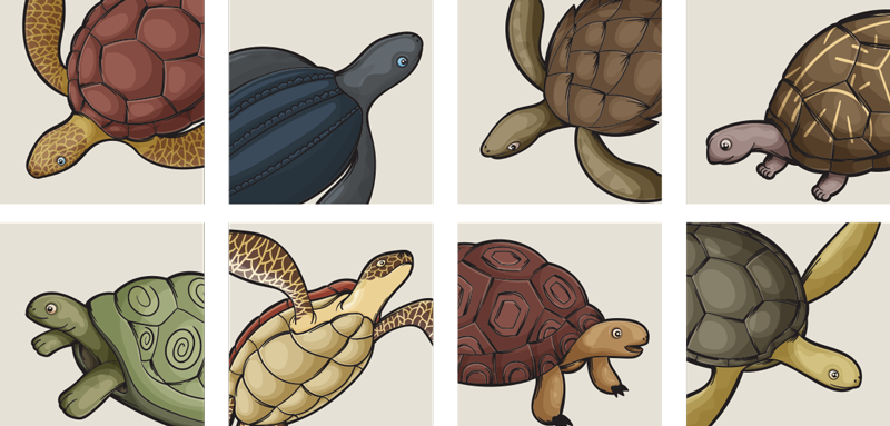 Vinylový koberec do kúpeľne s rôznymi korytnačkami - Tenstickers