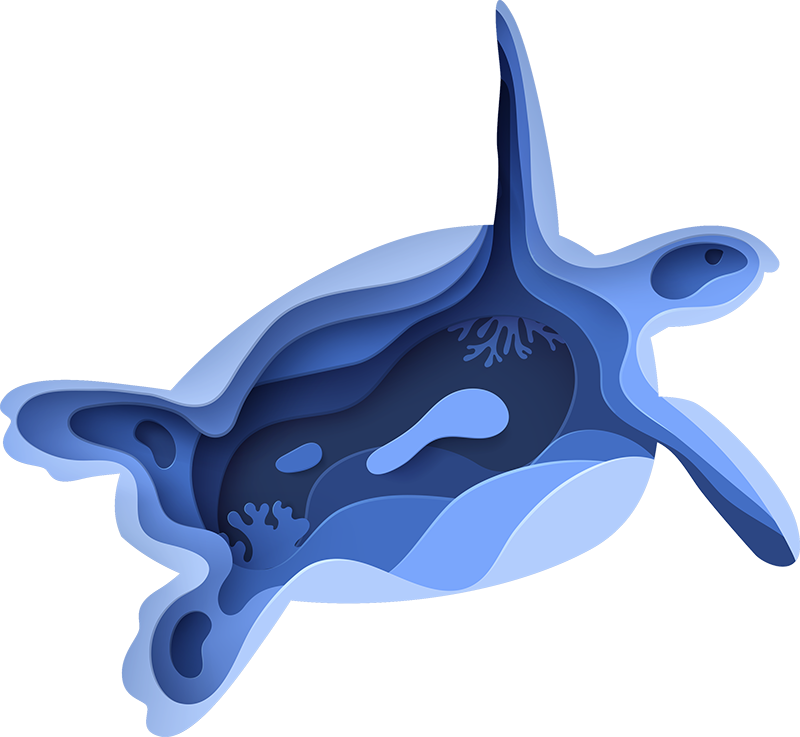 vinylové koberce zvieratá tvar morskej korytnačky - Tenstickers