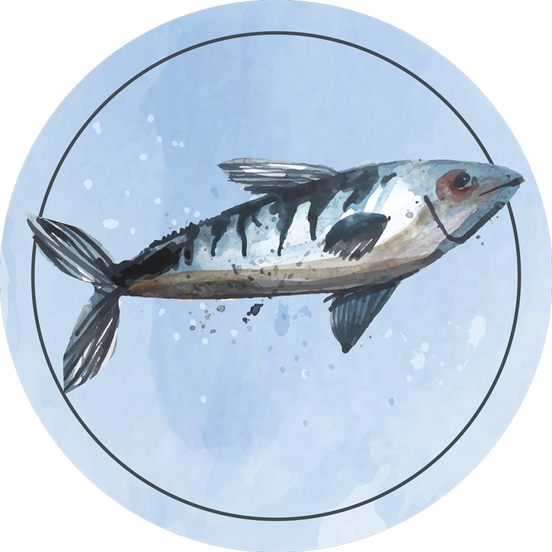 vinylové koberce zvieratá vodný prieskum - Tenstickers