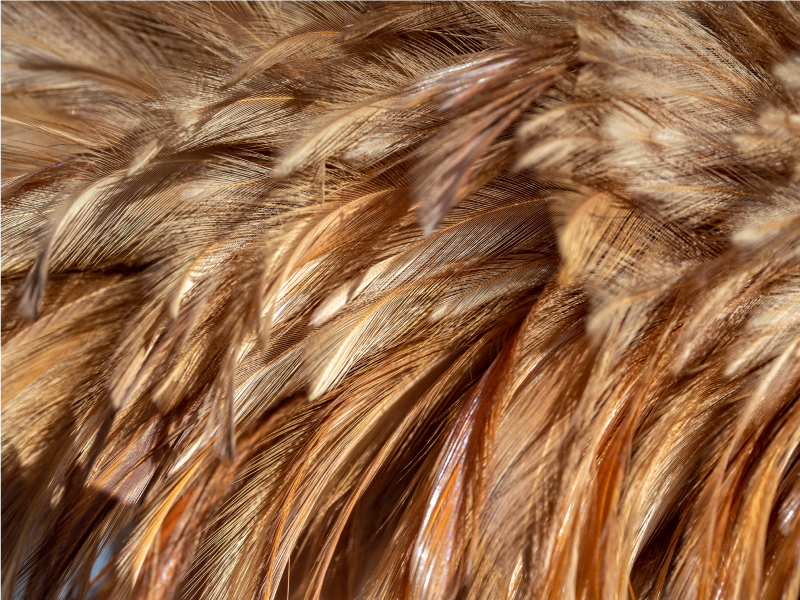 vinylový koberec zvierací vzor víriaca srsť - Tenstickers