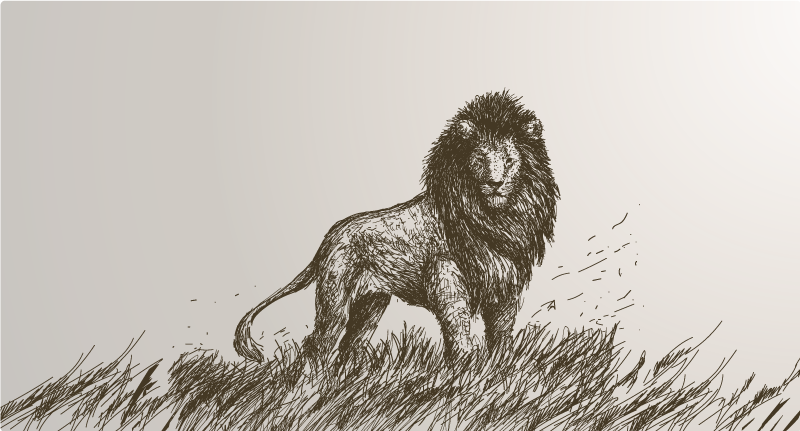 vinylové koberce zvieratá odraz majestátneho leva - Tenstickers