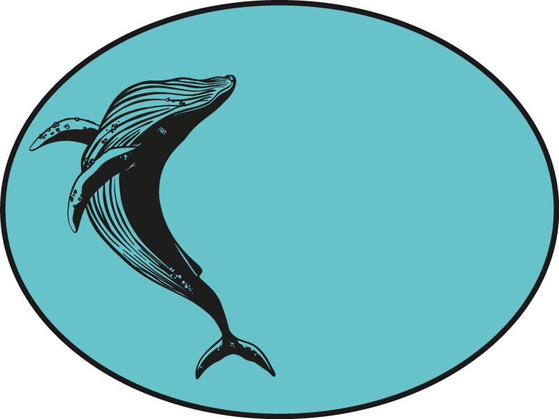 vinylové koberce zvieratá motív majestátnej veľryby - Tenstickers