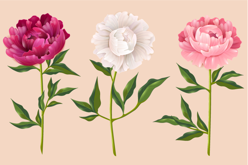 vinylový koberec do kúpelne elegantné trio aranžmán - Tenstickers