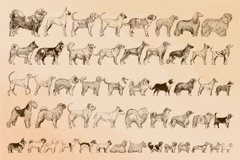 vinylové koberce zvieratá ilustrácie béžových psov - Tenstickers