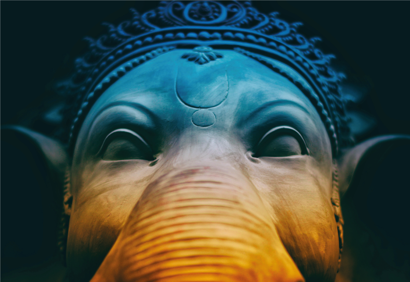 etnický vinylový koberec éterické slonie tváre - Tenstickers