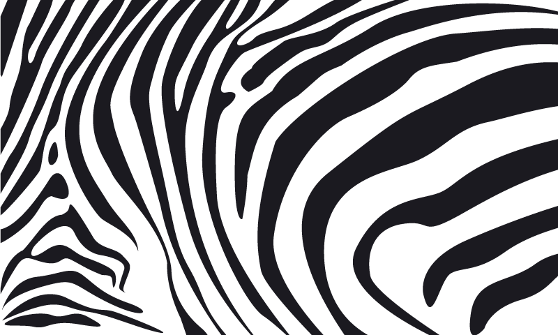 Vinylový koberec zvierací vzor zebra pruhy - Tenstickers