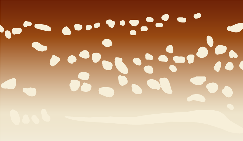 kamene vinylový koberec hnedý chodník - Tenstickers