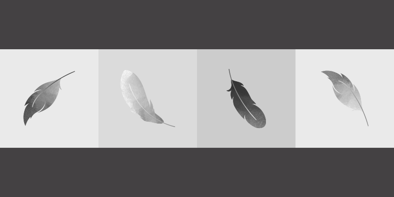 vinylové koberce zvieratá minimalizmus z peria - Tenstickers