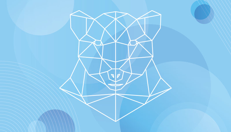 vinylové koberce zvieratá geometrický obrys medveďa - Tenstickers