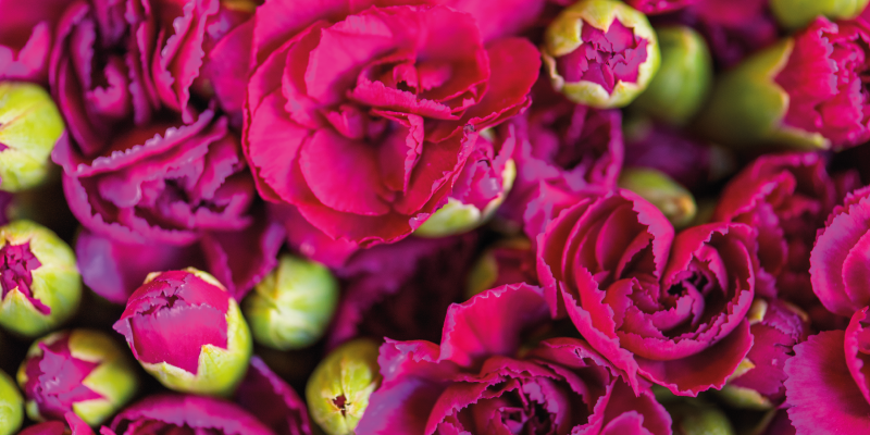 vinylový koberec s kvetmi žiarivé kvetinové kvety - Tenstickers