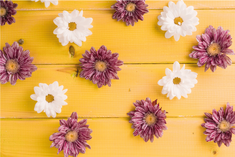 vinylový koberec s kvetmi ružové a biele okvetné lístky - Tenstickers