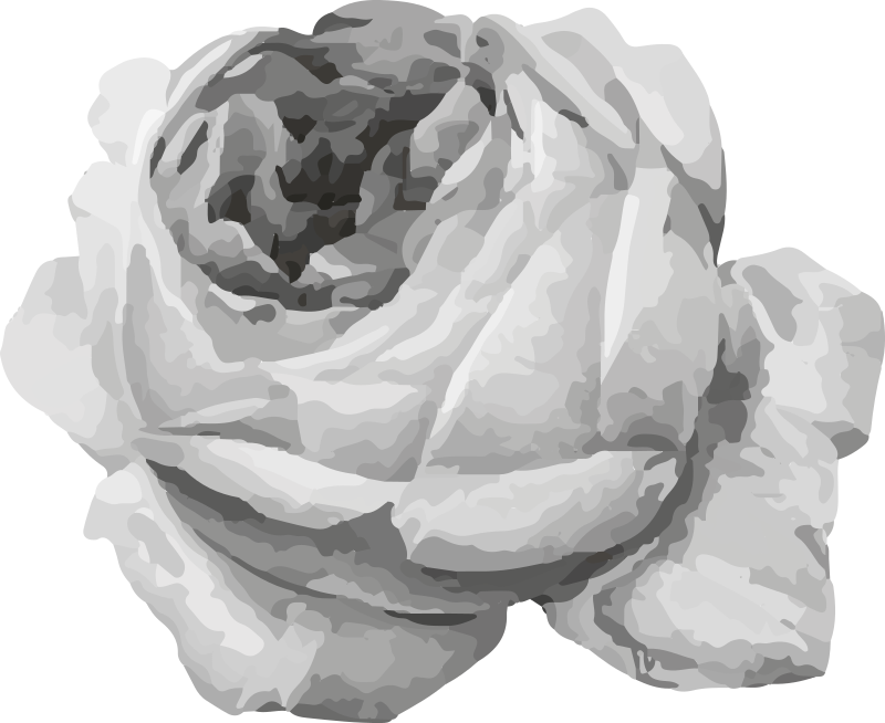 Vinylový koberec prírodná sivá ruža - Tenstickers