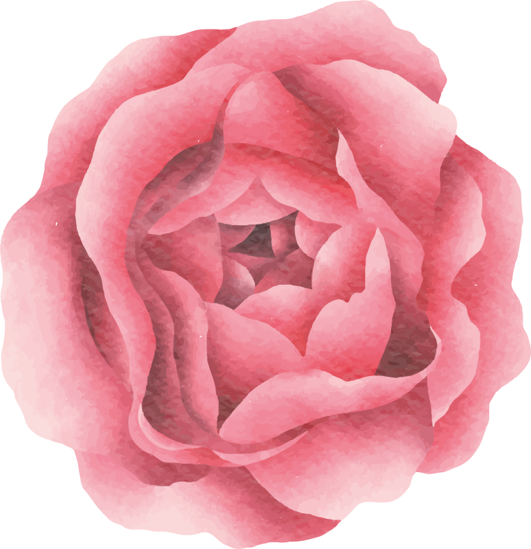 vinylový koberec s kvetmi červenať sa ružový kvet - Tenstickers