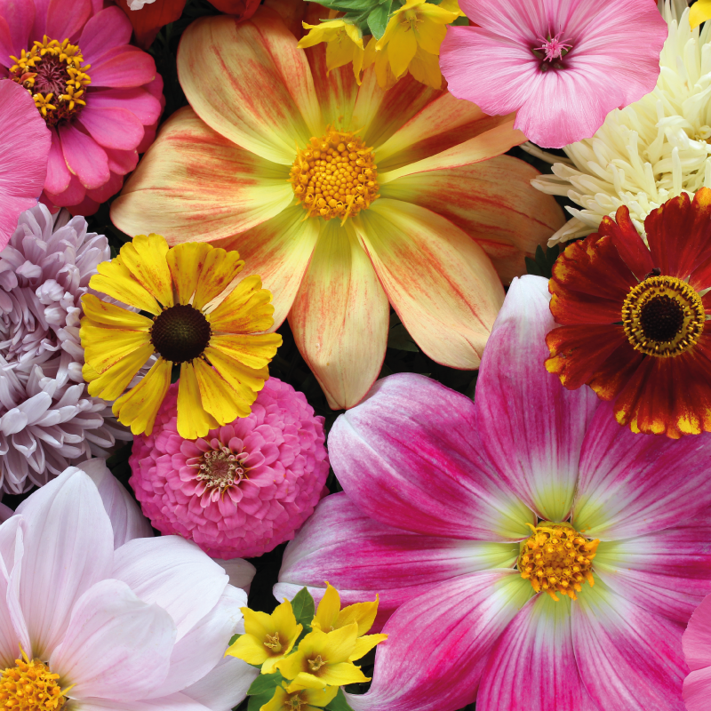 vinylový koberec s kvetmi krásne realistické aranžmán - Tenstickers