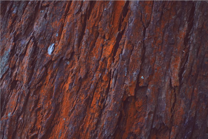 Vinylový koberec s efektom rustikálneho dreva - Tenstickers