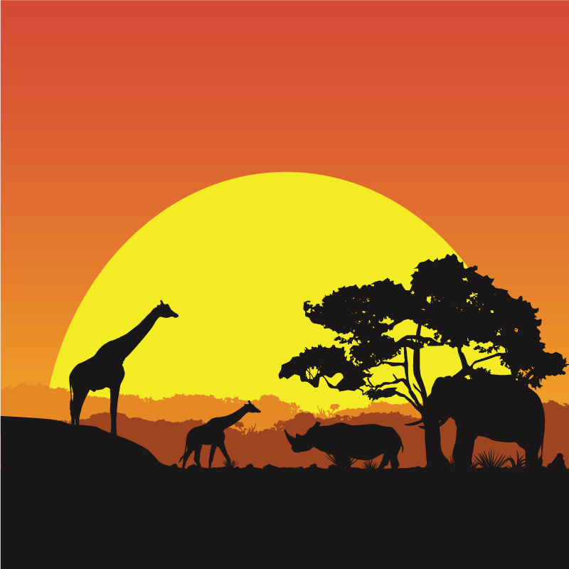 Africký savana moderný koberec - Tenstickers