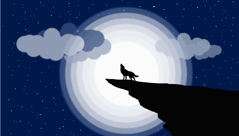 vinylový koberec pre mládež polmesiac zavýja - Tenstickers