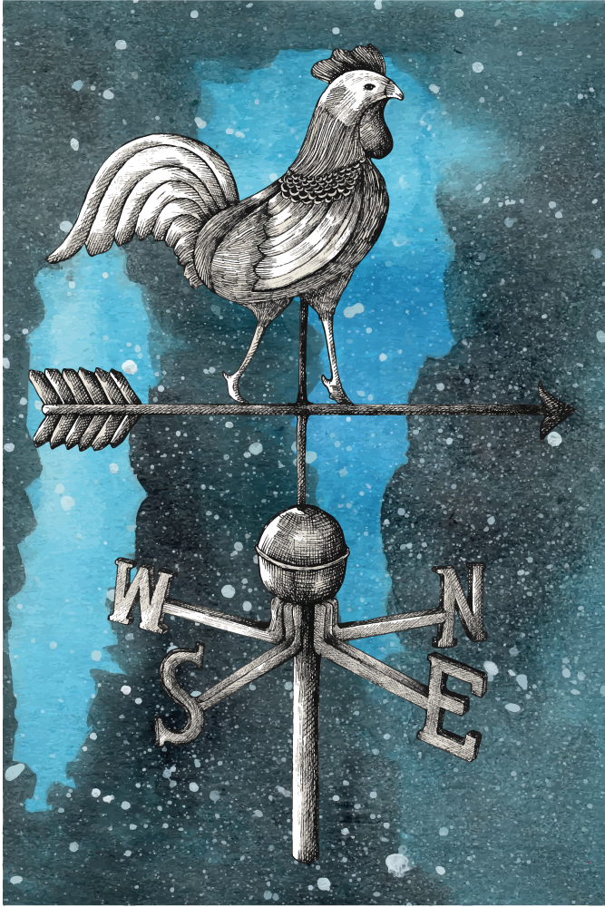 vinylový koberec pre mládež korouhvička kohút - Tenstickers