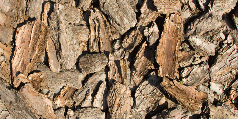 Hnedý rustikálny koberec zo stromovej textúry - Tenstickers