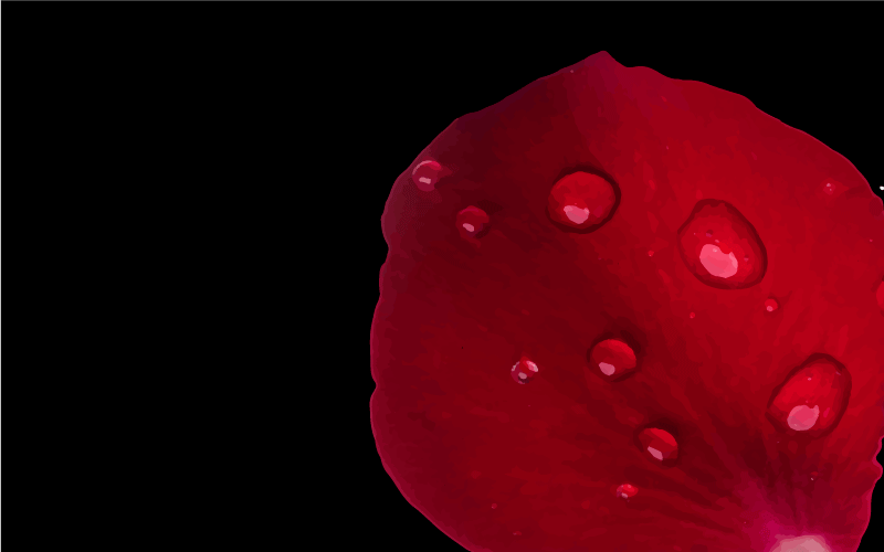 Vinylový koberec do obývačky Červený kvetový glamour - Tenstickers