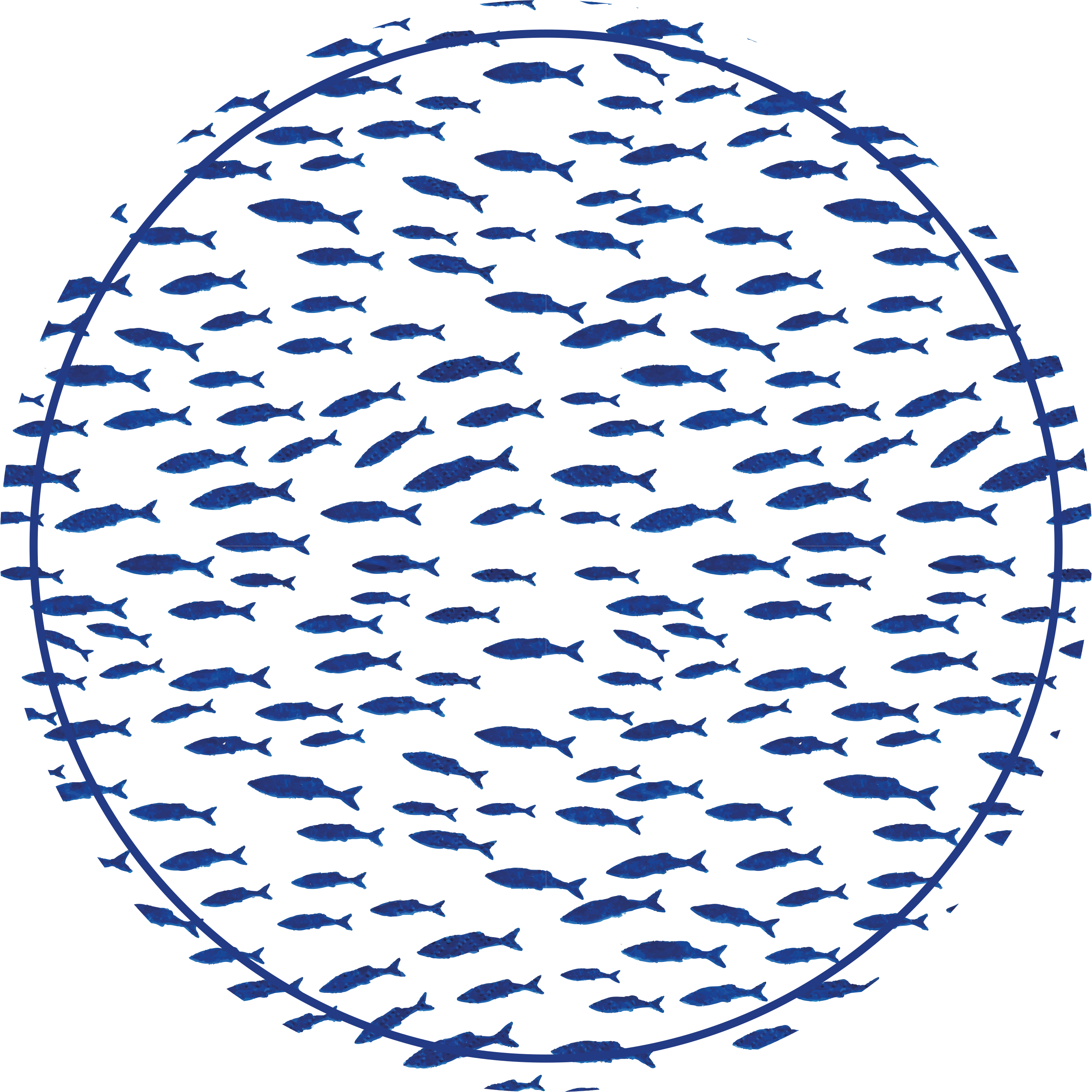 Modré ryby na bielom pozadí koberec do obývačky - Tenstickers