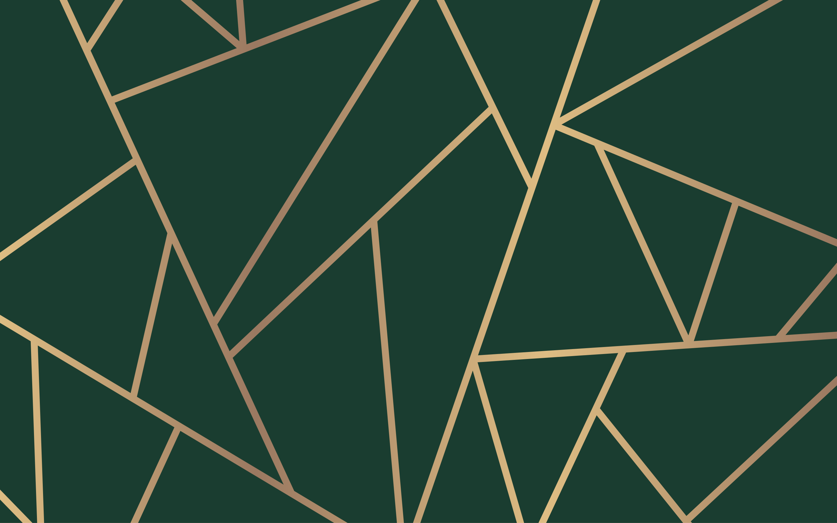 Zlaté čiary fľaša zelené pozadie moderný koberec - Tenstickers