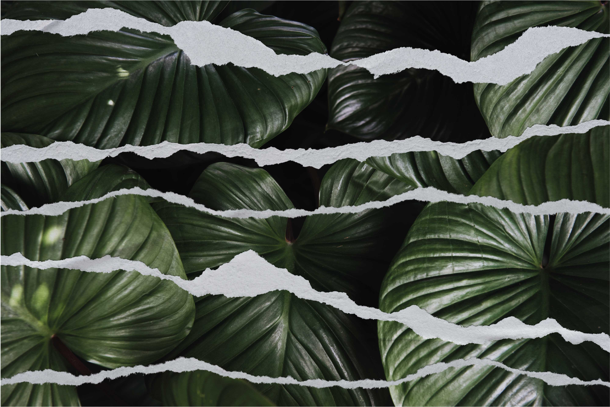 prírodný vinylový koberec vzor roztrhnutých listov - Tenstickers