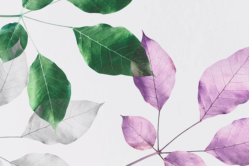 vinylový koberec s kvetmi listové botanické potlače - Tenstickers