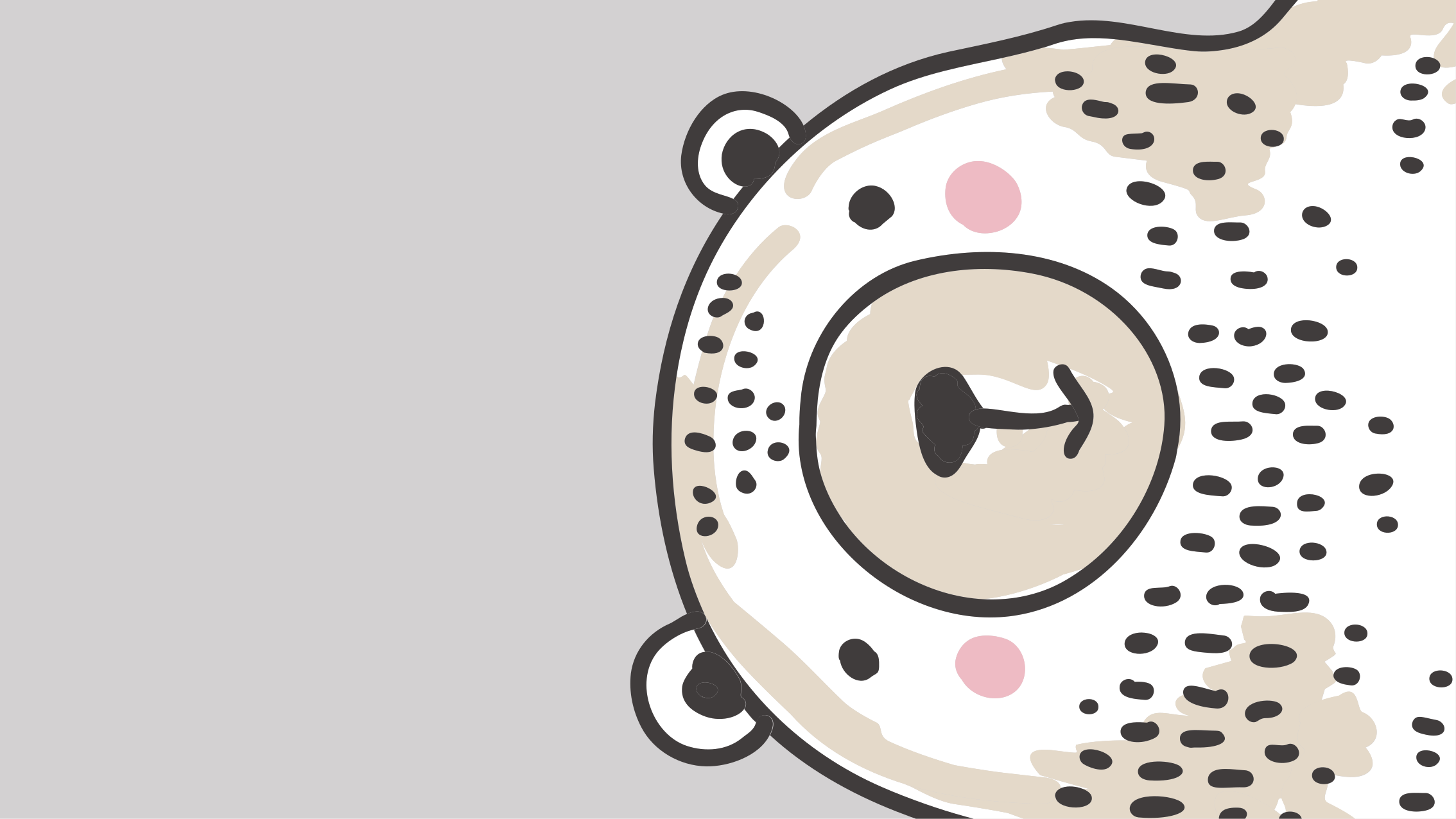 Biely medveď šedý koberec zvieracie pozadie - Tenstickers