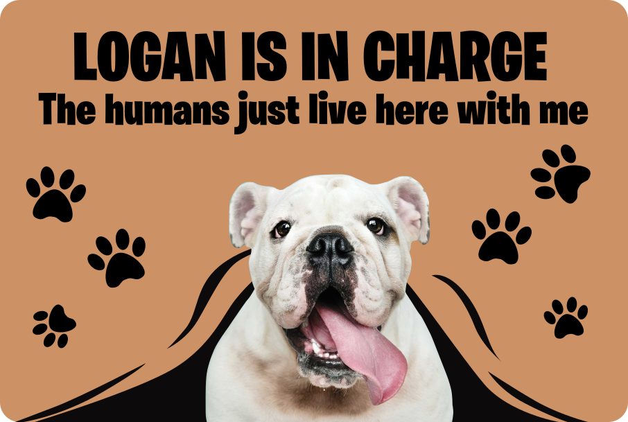 Vinylový koberec s fotkou psa - Tenstickers