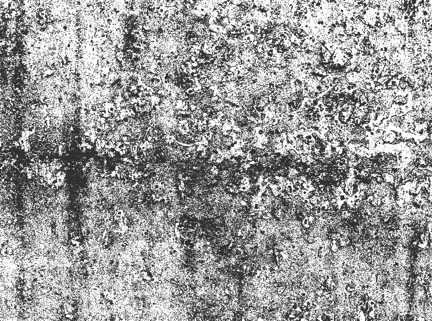 vinylový koberec  pre jedáleň vyblednutá sivá - Tenstickers